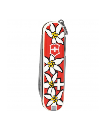 Victorinox Scyzoryk 0.6223.840 Classic 'Edelweiss' (6223840)