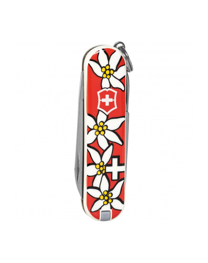Victorinox Scyzoryk 0.6223.840 Classic 'Edelweiss' (6223840) główny