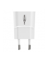 Ładowarka Ansmann Homecharger Hc105 1X Usb-A (1001-0112) (11099386) - nr 1