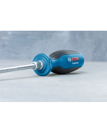 Bosch Professional Wkrętak płaski 1600A01TG1