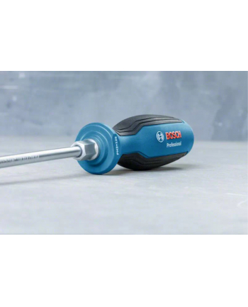 Bosch Professional Wkrętak krzyżowy PH 2 1600A01TG3