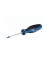 Bosch Professional Wkrętak TX TX 10 1600A01V0A - nr 1