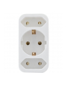 REV TRANSITION PLUG 2-FOLD + 1 SAFETY CONTACT WHITE - BIAŁY (0512735777WS) - nr 1