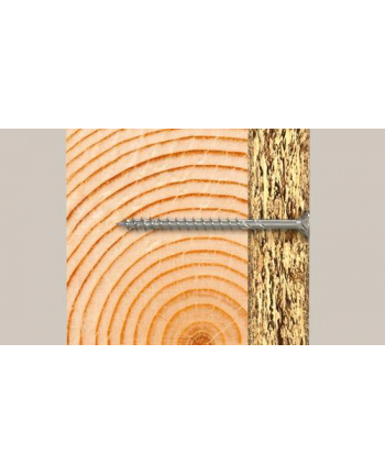 Fischer PowerFast II 5,0x50 SK TX TG blvz 200 nr 2