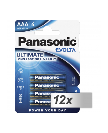 12x4 Panasonic Evolta LR 03 Micro            inner box