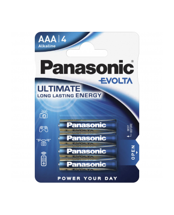 60x4 Panasonic Evolta LR 03 Micro           master box