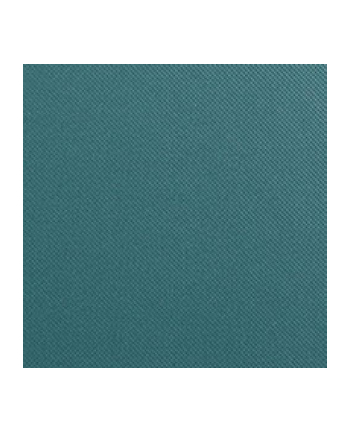 Walther Fun pudelko na zdjecia petrol 700 zdjec 10x15    FB115K nr 2