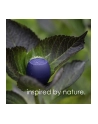Boompods Zero Navy blue - nr 5