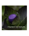 Boompods Zero Purple - nr 6