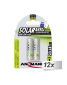 12x2 Ansmann maxE NiMH akumulat. Mignon AA 800 mAh SOLAR  5035513 - nr 1