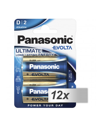 12x2 Panasonic Evolta Mono D LR 20                LR20EGE/2BP