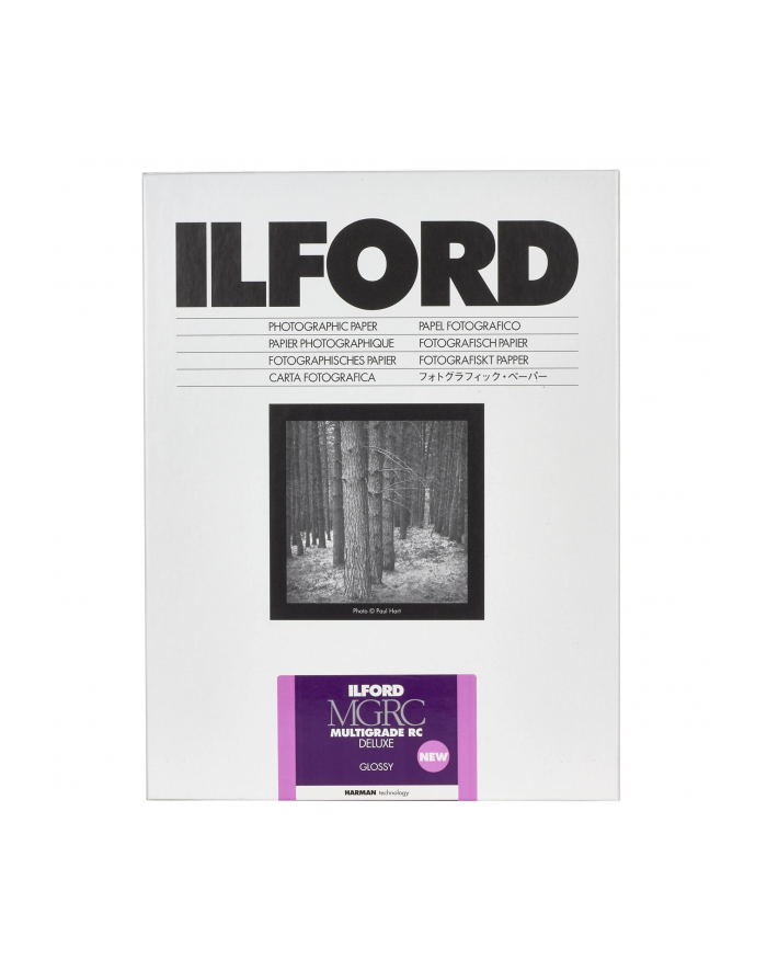 1x100 Ilford MG RC DL  1M   9x13 główny