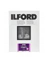 1x100 Ilford MG RC DL  1M  10x15 - nr 1