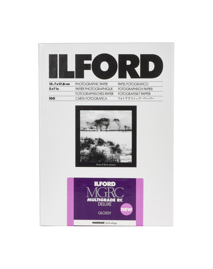 1x100 Ilford MG RC DL  1M  13x18 główny