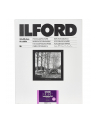 1x 10 Ilford MG RC DL  1M  24x30 - nr 1