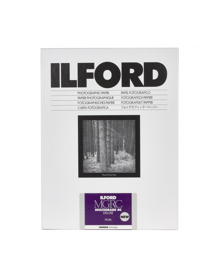 1x100 Ilford MG RC DL 44M 10,5x14,8 główny