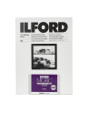 1x100 Ilford MG RC DL 44M  13x18 - nr 1