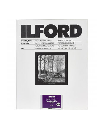 1x 50 Ilford MG RC DL 44M  24x30