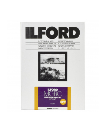 1x100 Ilford MG RC DL 25M  10x15 10,5x14,8