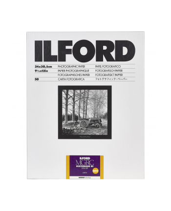 1x 50 Ilford MG RC DL 25M  24x30