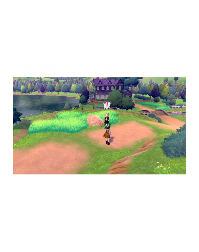 Nintendo Switch Pokemon tarcza główny