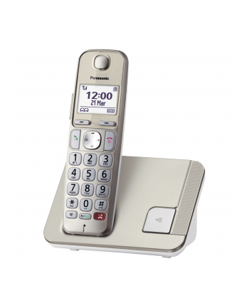 Panasonic KX-TGE250GN champagne