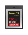 SanDisk CF Express Type 2  128GB Extreme Pro     SDCFE-128G-GN4NN - nr 11