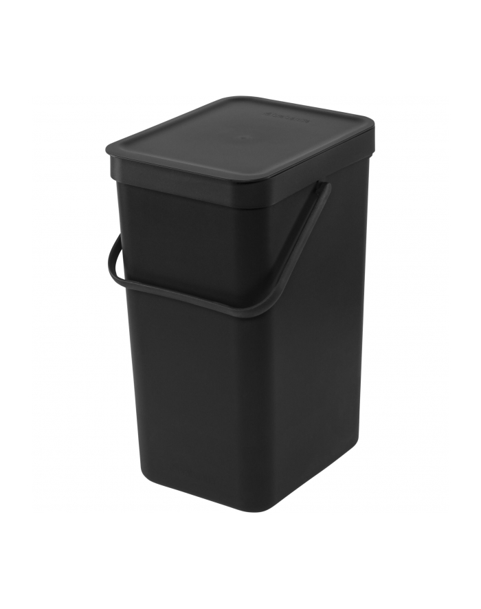 Brabantia Sort 'amp; Go kosz na odpadki 16l Dark Grey główny