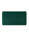 PocketBook Charge - Fresh Green Cover for Era - nr 3