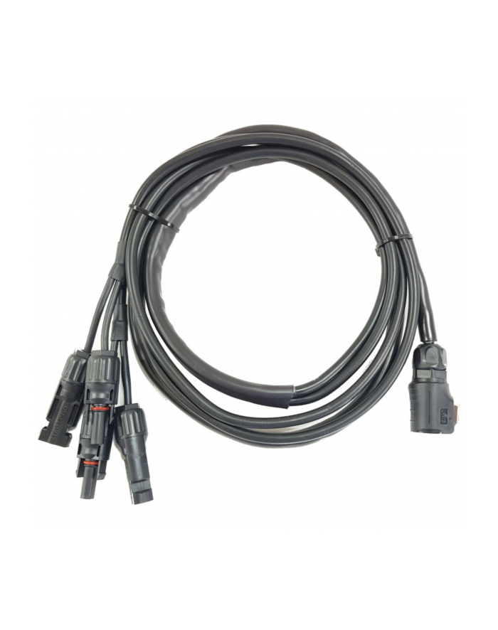 b'amp;w international B'amp;W energy.case connection cable for two PV DC Plug Connector główny