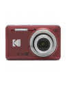 Kodak PixPro FZ55 red - nr 5