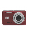 Kodak PixPro FZ55 red - nr 6
