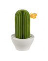 Papirho Aroma Diffusor Cactus green - nr 1