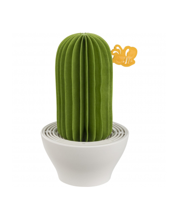 Papirho Aroma Diffusor Cactus green