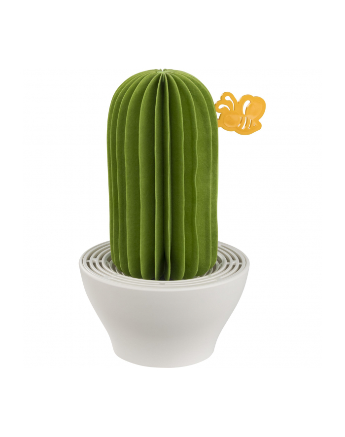 Papirho Aroma Diffusor Cactus green główny