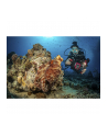 Sealife SportDiver Underwater Smartphone Housing (SL400-U) - nr 7