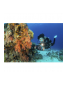 Sealife SportDiver Underwater Smartphone Housing (SL400-U) - nr 8