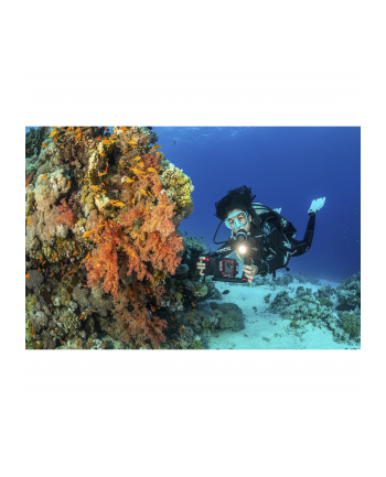 Sealife SportDiver Underwater Smartphone Housing (SL400-U)