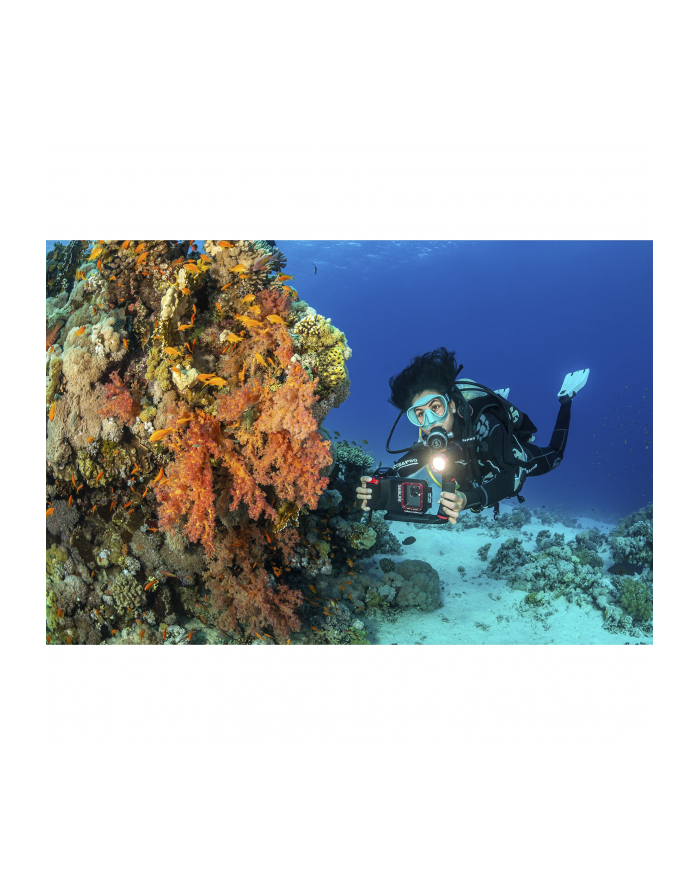 Sealife SportDiver Underwater Smartphone Housing (SL400-U) główny
