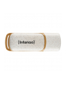 Intenso Green Line          64GB USB Stick 3.2 Gen 1 - nr 1