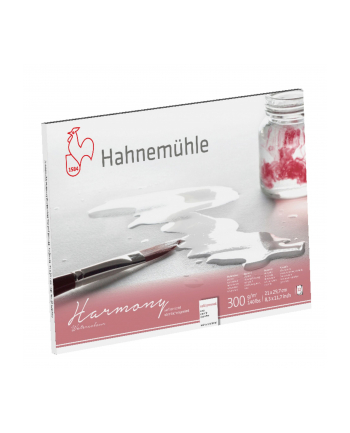 Hahnemühle Harmony Watercolour cold pressed 12 Sheets 300 g  A4