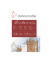 Hahnemühle Britannia Watercolour hot pressed 30x40cm 300g 12 sh. - nr 1