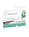 Hahnemühle Harmony Watercolour hot pressed  12 Sheets  300g  A4 - nr 3