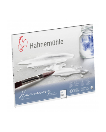 Hahnemühle Harmony Watercolour rough   12 Sheets  300g  A