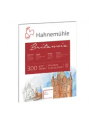 Hahnemühle Britannia Watercolour cold pressed 30x40cm 300g 12 sh. - nr 5
