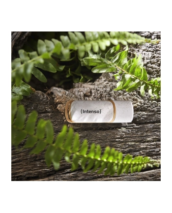 Intenso Green Line 128GB USB Stick 3.2 Gen 1
