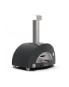 Alfa Forni Moderno 1 Pizza Gas Grey - nr 9