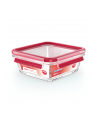 Emsa Clip'amp;Close Glass Food Container 0,8 L red - nr 4