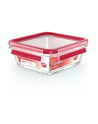 Emsa Clip'amp;Close Glass Food Container 0,8 L red - nr 6