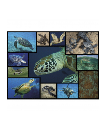 Ambassador Sea Turtles 1000 Pieces